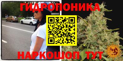 эйфоретик Балаково